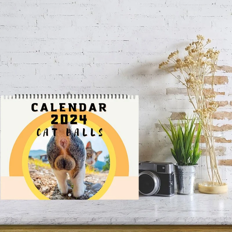 Календарь кошачьей задницы Календарь кошачьих мячей 25x19 см 12-месячный календарь кошачьих мячей на 2024 год