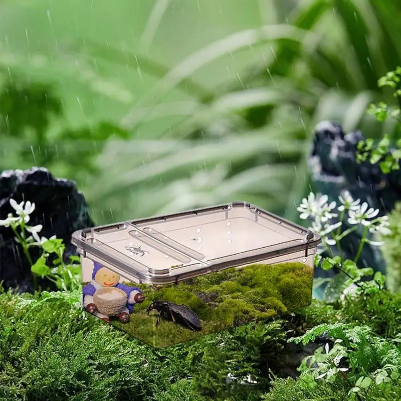 Коробка для разведения рептилий, Высокопрозрачная Коробка для теплоизоляции рептилий, Место обитания Скорпионов, муравьев-пауков, ящик для кормления ящериц Изображение 1 